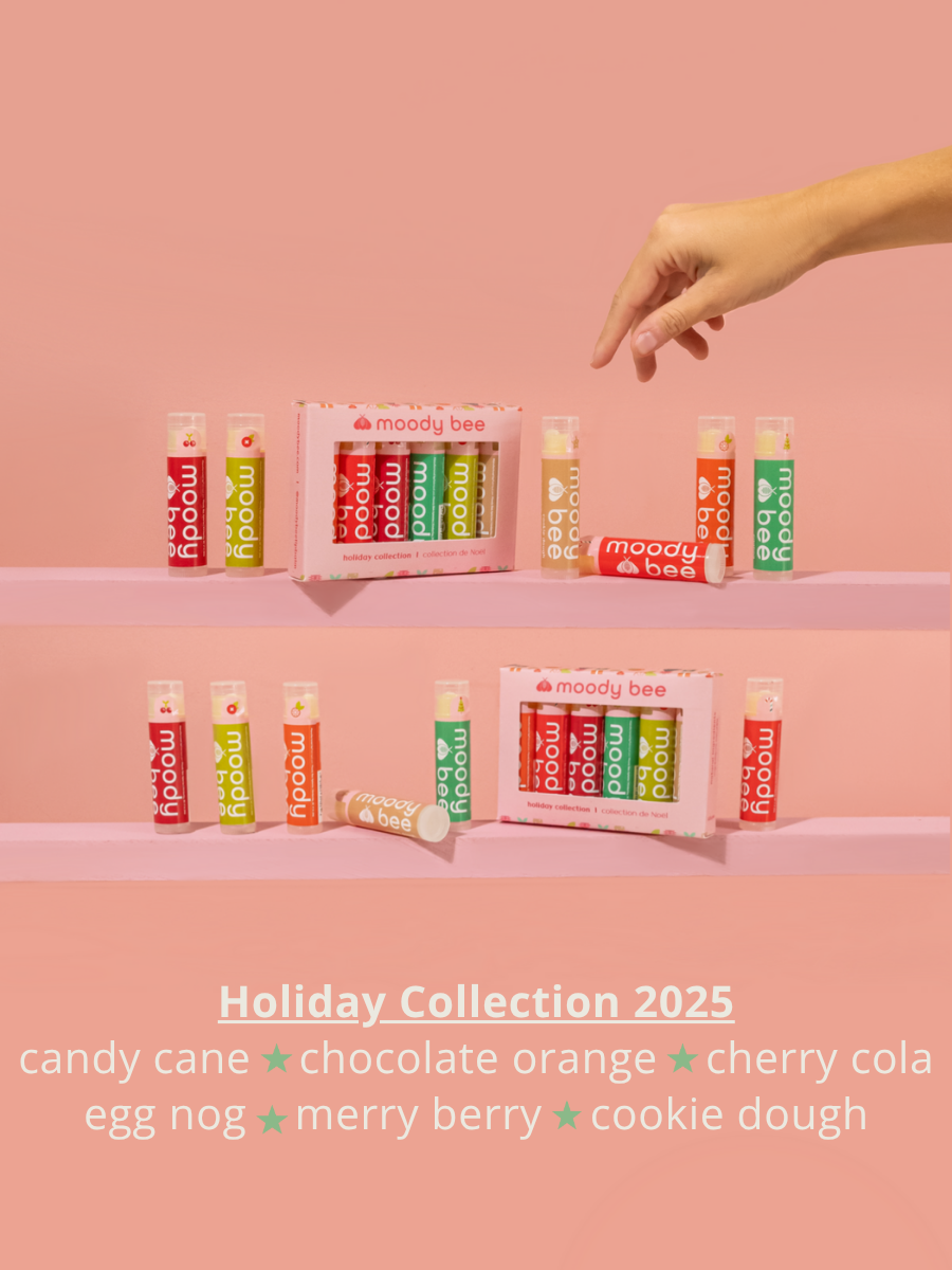 Holiday Collection Box. 6 Units