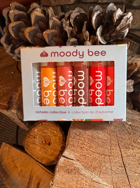 autumn collection box. sold in units of 6 boxes